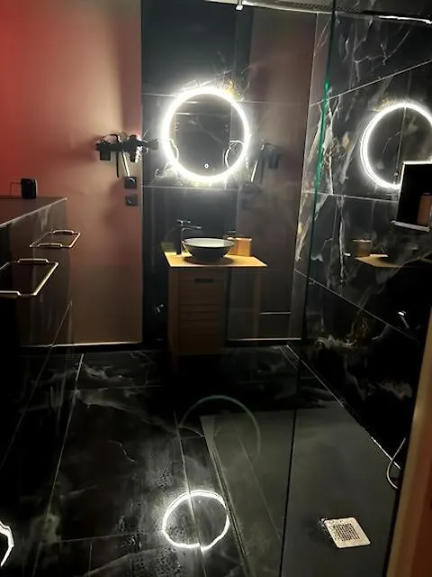 Romantique Room,Balneo,Mirroir,Parking Grenoble Apartment